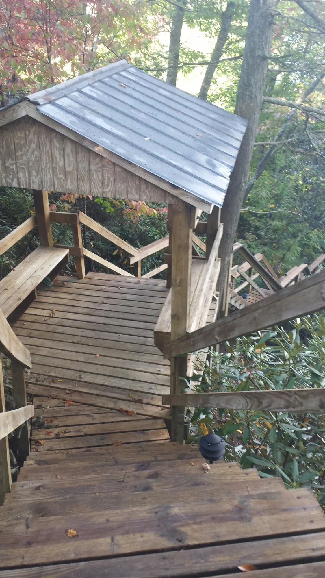 Metal roofed shelter over wooden steps on a wooded walkway — Skylight Repair & Installation work by our crew in Fort Harrison
